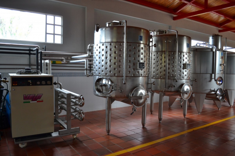 cave-CALLIAN-min_wine_production_cantine_winery_drink_alcohol_vine_beverage-902036